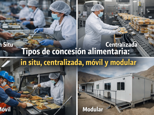 Tipos de concesión alimentaria: in situ, centralizada, móvil y modular