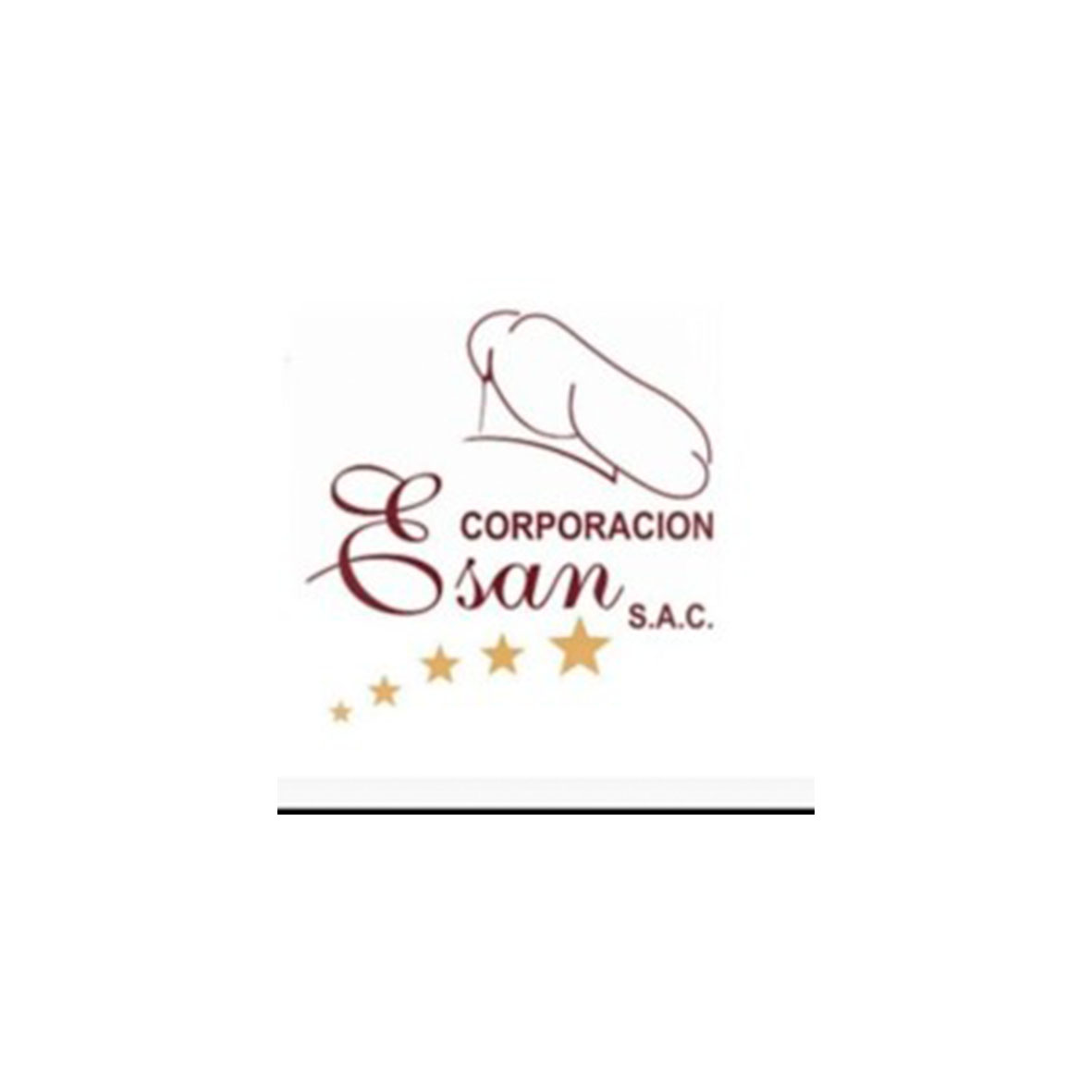 CORPORACION ESAN SAC
