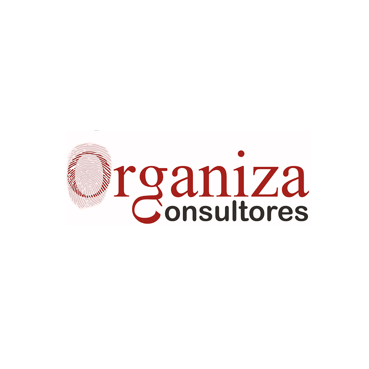 ORGANIZA CONSULTORES PERU